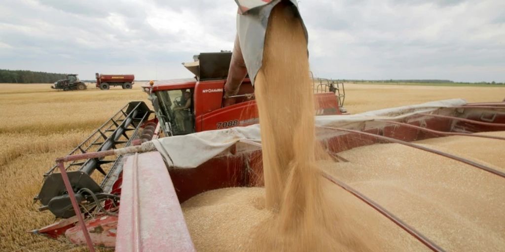 The Russians send grain to their country