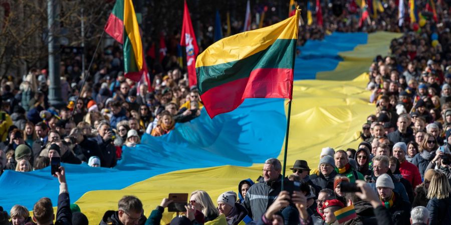 Menschen in Litauen mit Ukraine-Flagge