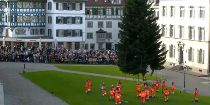 Der St.Galler Christbaum ist am Montagmorgen am Klosterplatz aufgestellt worden. Klosterplatz der St.Galler Christbaum