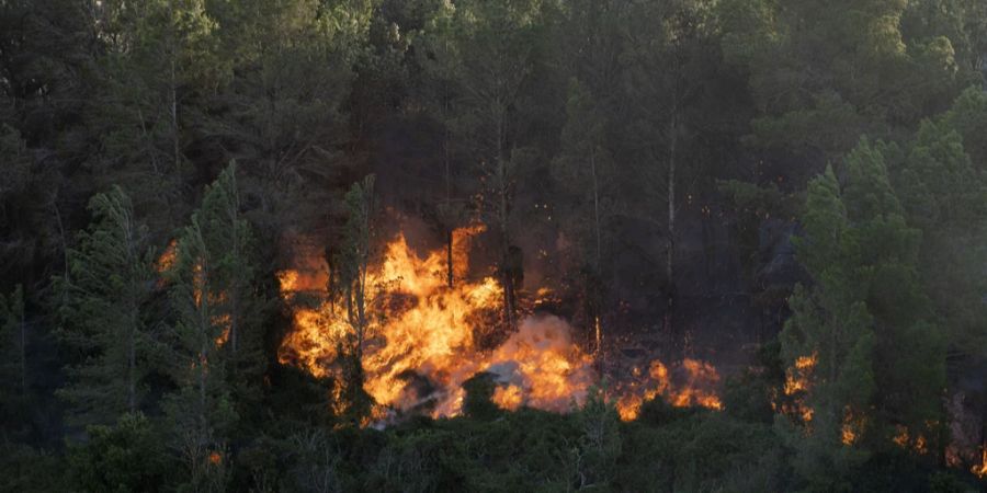 Waldbrand Spanien