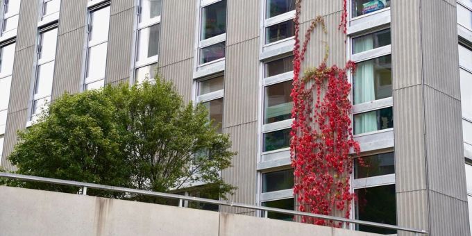 In den letzten Jahrzehnten sei nur für mehr Wohlstand gebaut worden, so Architekturprofessor und Co-Leiter des ZHAW-Instituts Urban Landscape Stefan Kurath. tsüri.ch