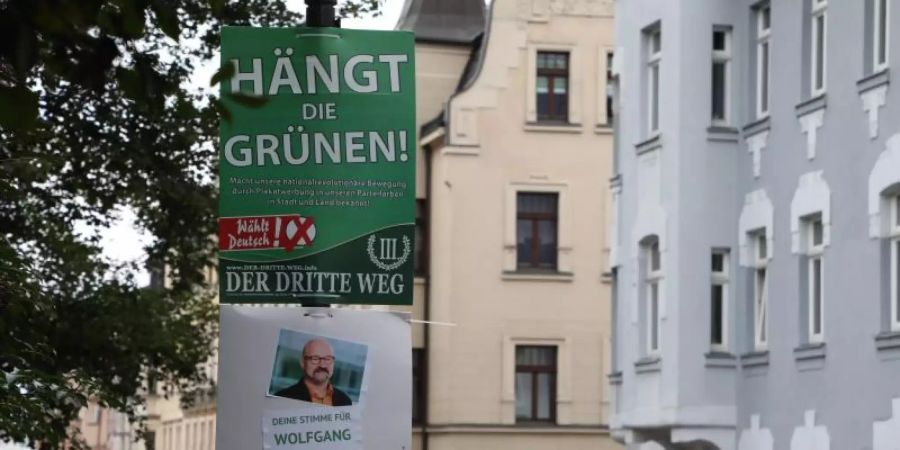 Eines der nun verbotenen Wahlplakate gegen die Grünen in Zwickau. Foto: Bodo Schackow/dpa-Zentralbild/dpa