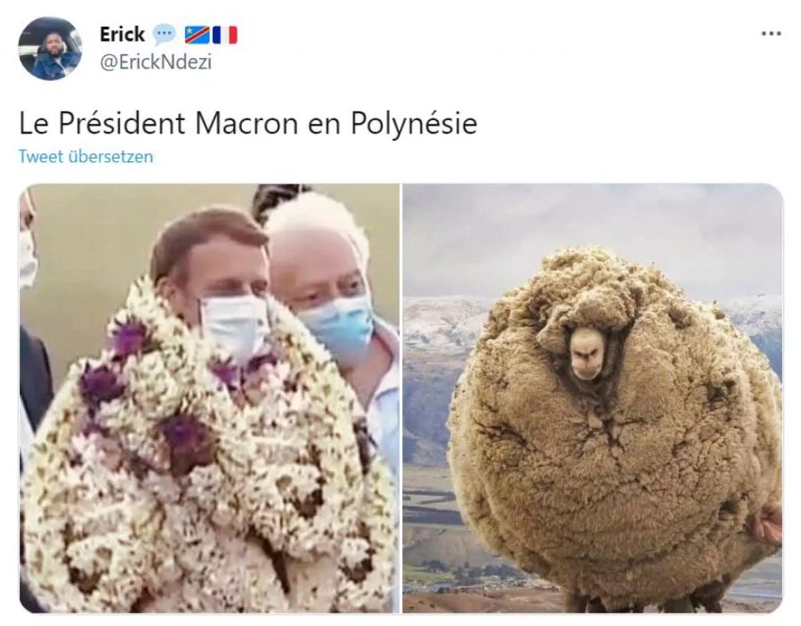 Dieser Twitter-Nutzer vergleich Macron mit einem zu lange nicht mehr geschorenen Schaf.