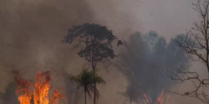 Ein Waldstück im Amazonasgebiet steht in Flammen. (Archivbild) Amazonas Flammen