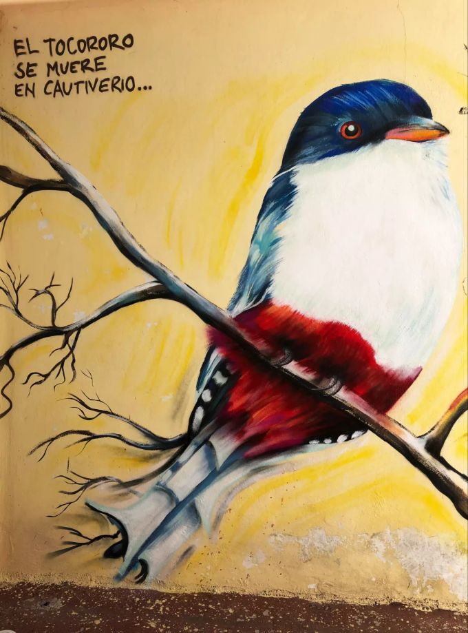 „El se muere en Cautiverio“ Vogel