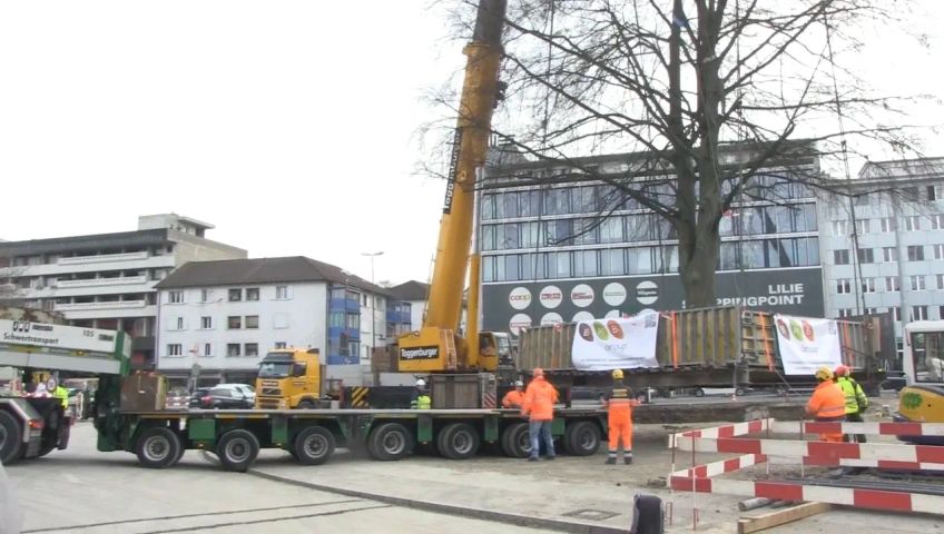 zh-baum