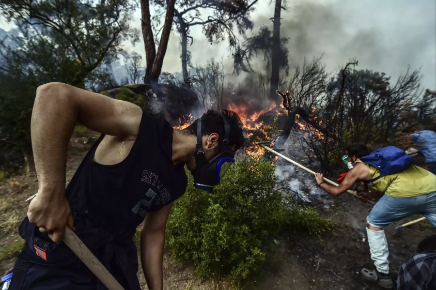 Turkey Wildfires