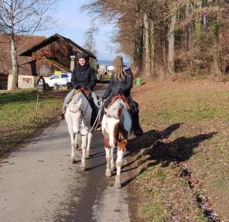 bauer ledig sucht