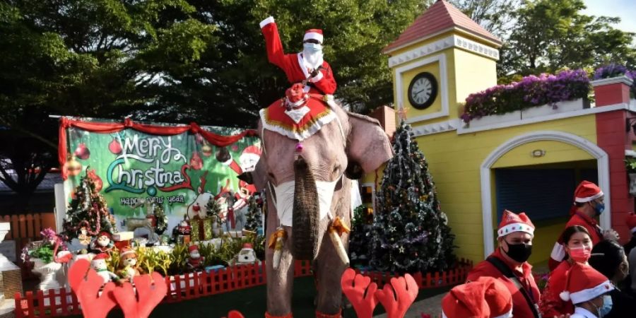 Ein weihnachtlich verkleideter Elefant in Ayutthaya