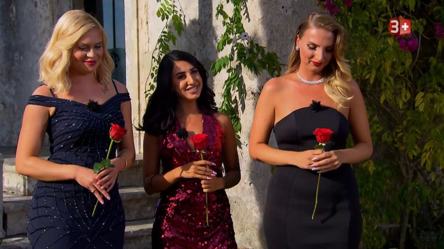 Der Bachelor 2020