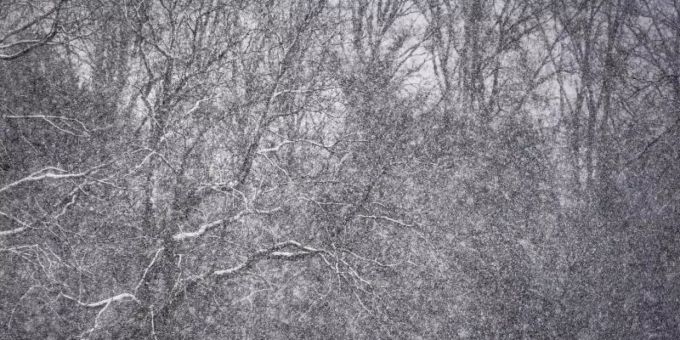 Zwei Menschen gehen bei Schneetreiben mit einem Hund durch den winterlichen Huthpark im Nordosten von Frankfurt/Main. Foto: Frank Rumpenhorst/dpa Zwei Menschen gehen bei Schneetreiben mit einem Hund durch den winterlichen Huthpark im Nordosten von Frankfurt/Main. Foto: Frank Rumpenhorst/dpa