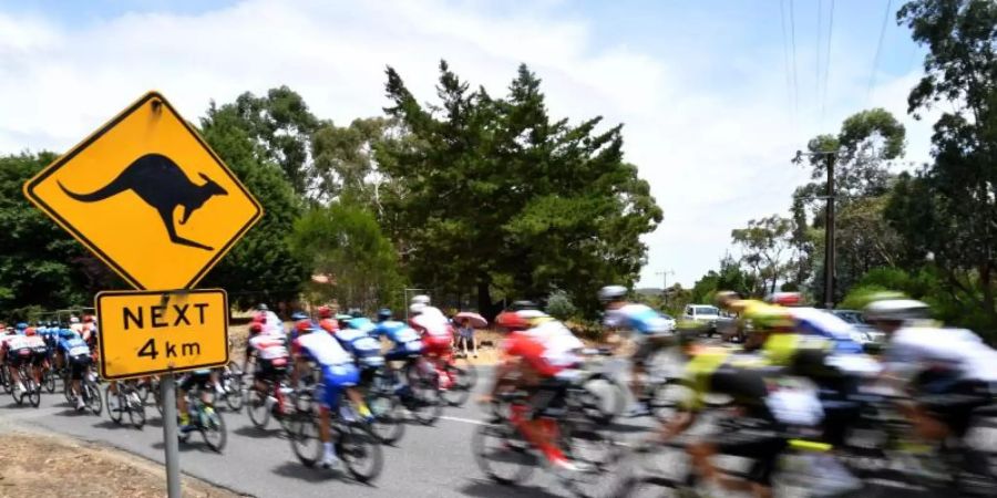 Die Tour Down Under und das Cadel Evans Great Ocean Road Race sind für den kommenden Januar abgesagt. Foto: David Mariuz/AAP/dpa/Archivbild