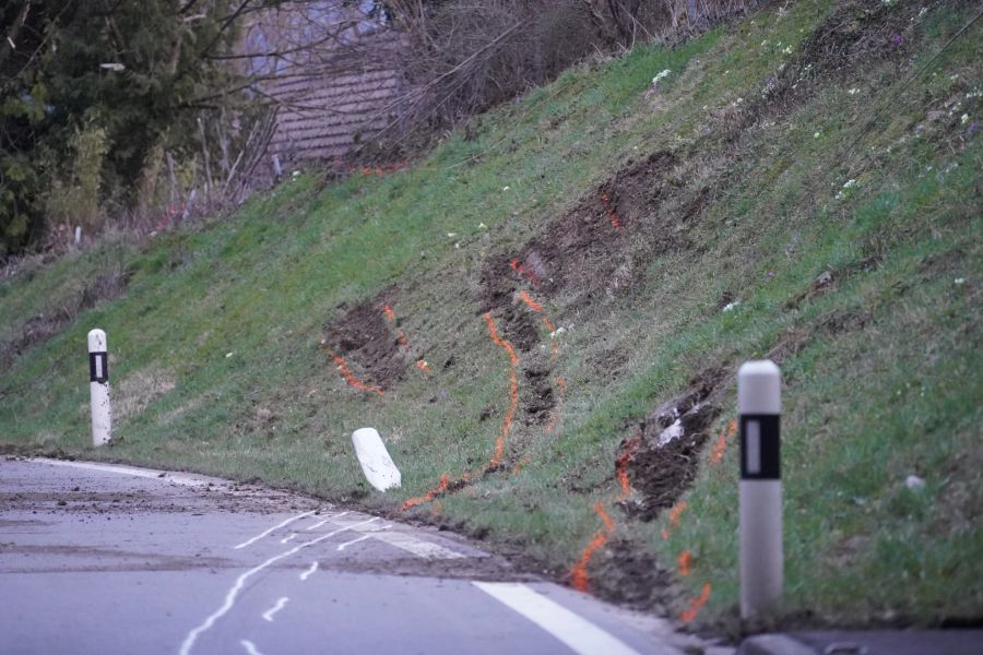 Die Autofahrerin kam von der Strasse ab.