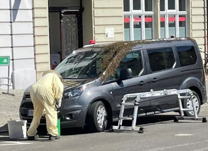 Ein Imker musste in Bernburg (D) einen Autofahrer von einem Bienenscharm befreien. bienen auto