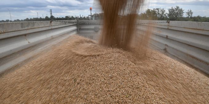 Gedroschener Weizen wird von einem Mähdrescher auf einen Anhänger auf einem Feld befördert. Gedroschener Weizen wird von einem Mähdrescher auf einen Anhänger auf einem Feld befördert.