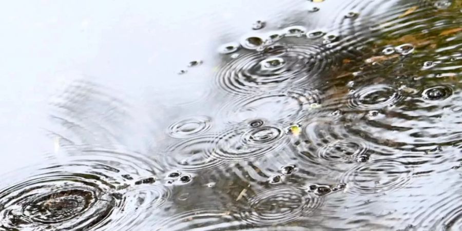 Trockenheit Tümpel Regen Wetter