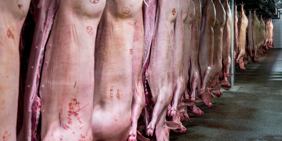 Die Schweinebranche kämpft mit einem wachsenden Überschuss an Fleisch.