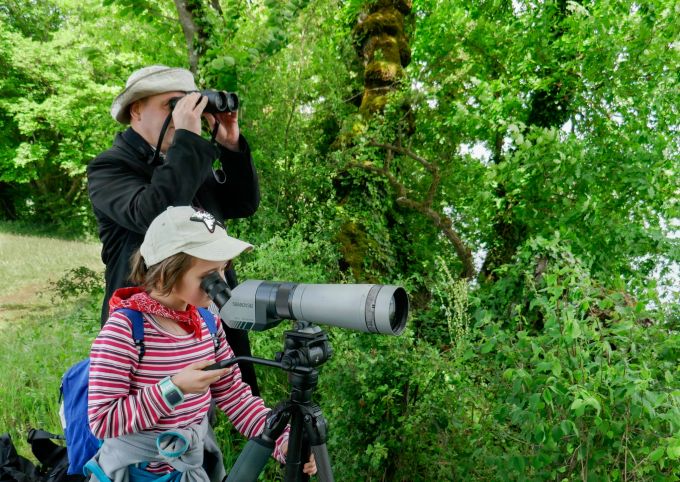 Bei Einsteigern und Profis beliebt: Birding am Klingnauer Stausee. Birding am Klingnauer Stausee.