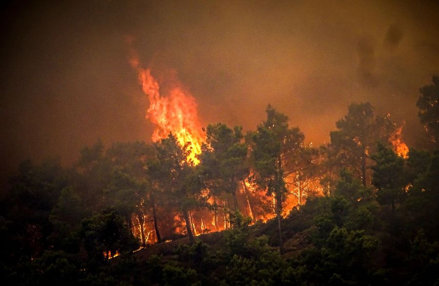 Der Feuerwehr zufolge sind Menschen für den verheerenden Waldbrand verantwortlich.