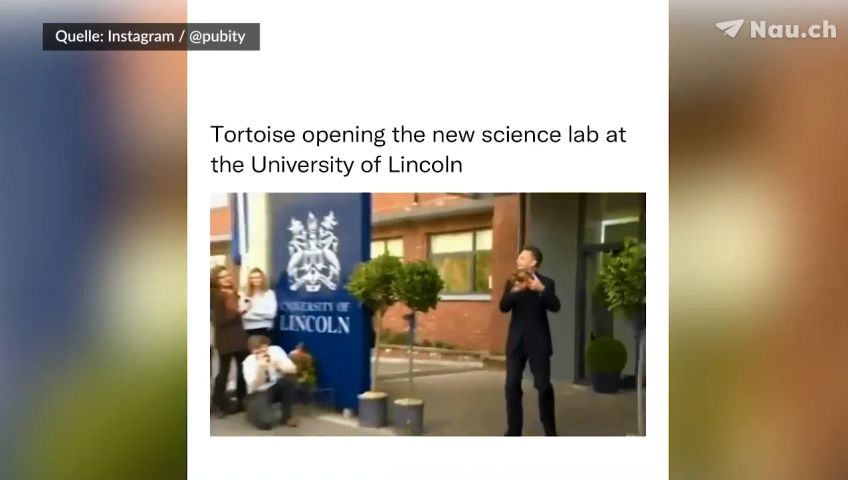 schildkrote-eroffnet-wissenschaftslabor-an-uni