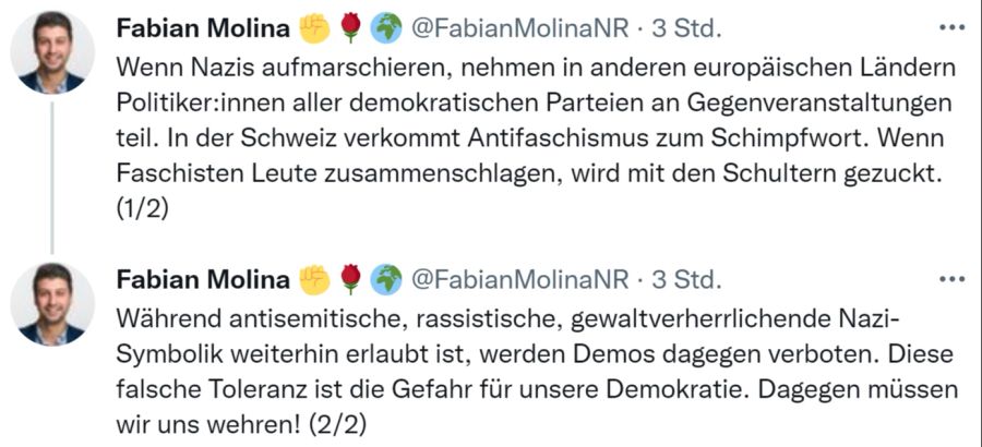 SP-Nationalrat Fabian Molina fordert mehr Antifaschismus auch von anderen Parteien.