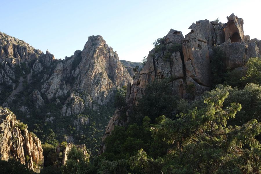 Felsen Gestein Nadelbäume Himmel