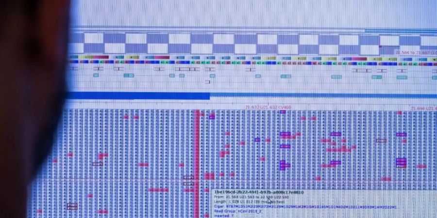 An einem Computermonitor wird in einem Sequenzierlabor nach neuen Varianten und Mutationen des Coronavirus gesucht. Foto: Jens Büttner/dpa