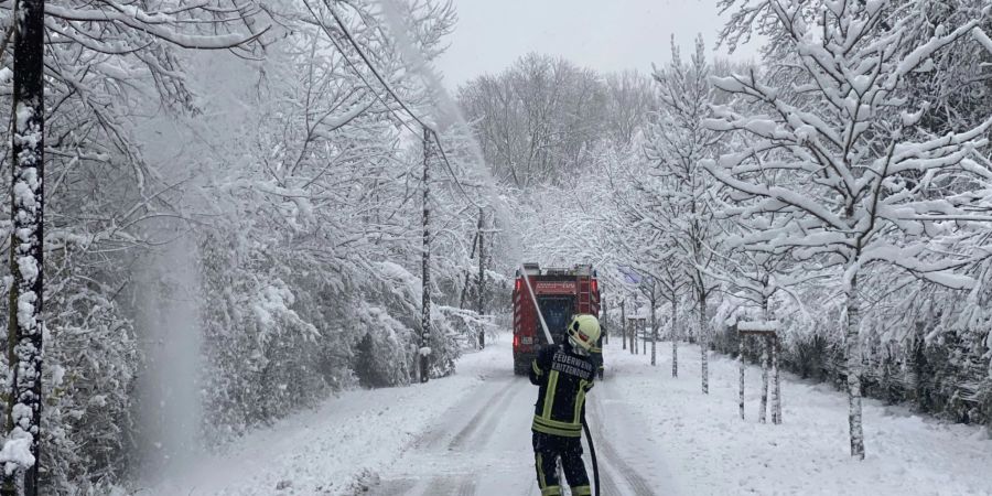 Kräfe der Feuerwehr im Einsatz in Kritzendorn, um Stromleitungen vor herabfallenden Ästen zu schützen.
