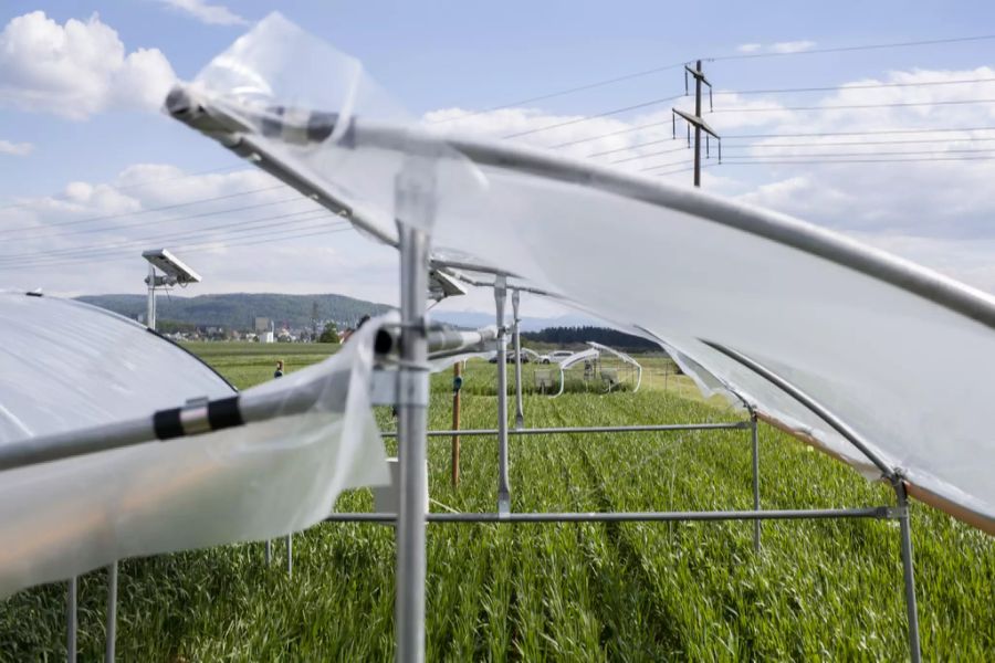 landwirtschaft forschung