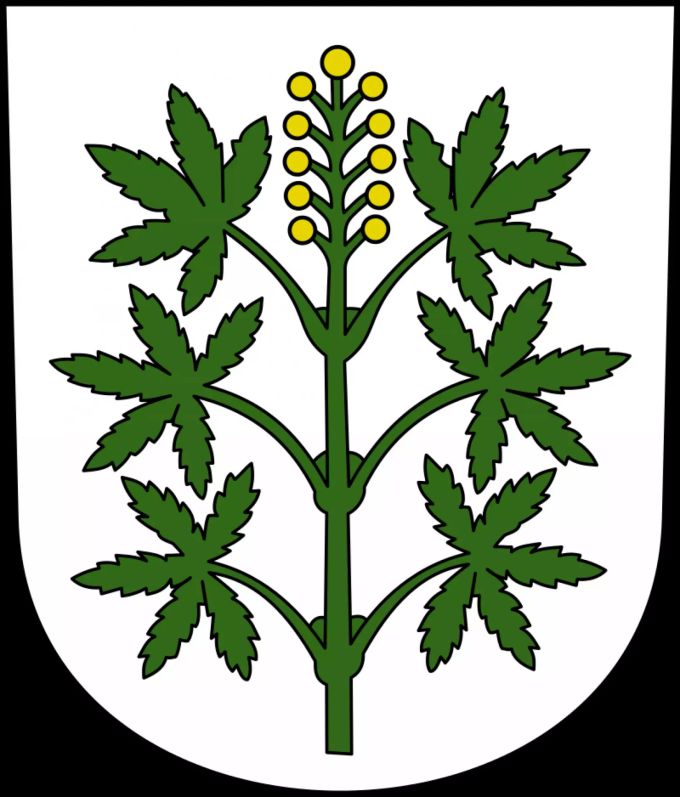 Seit 1934 ziert ein «Hanfstängel» das Wappen der Gemeinde Wangen. Wangen Wappen Hanf Maskottchen