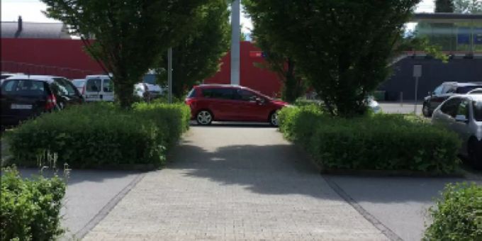 Begrünung Strassenbegleitflächen Oberrieden. Begrünung Strassenbegleitflächen Oberrieden