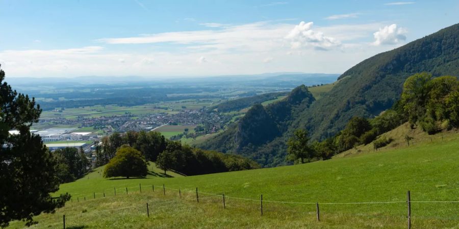 Juraweide auf dem Oensinger Hausberg Roggen. An klaren Tagen sind die Berner Alpen sichtbar.