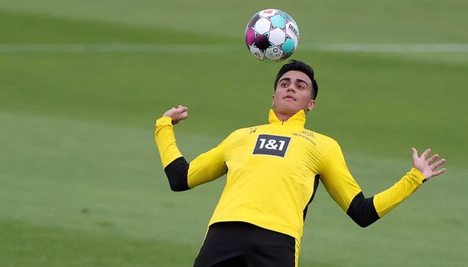 bvb