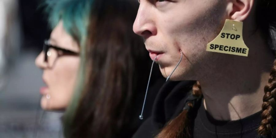Tierschützer protestieren in Strassburg gegen Fischfang