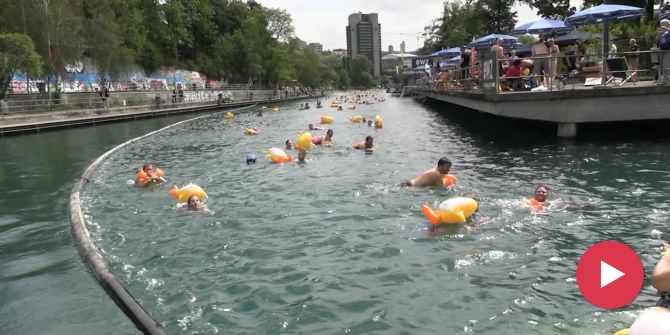 Limmatschwimmen 2022