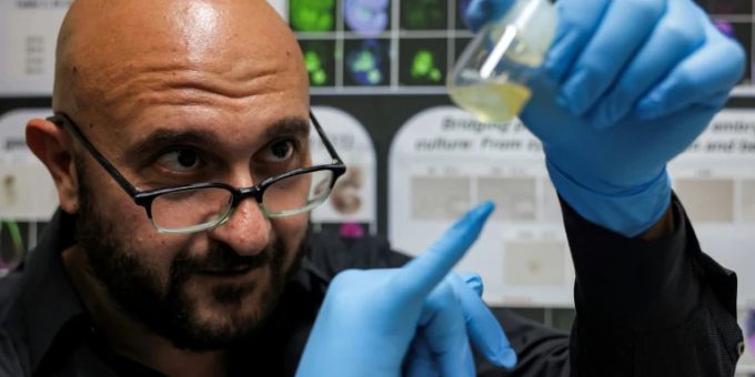 Der israelische Stammzellforscher Jacob Hanna und sein Team haben zuvor erstmals einen künstlichen Maus-Embryo hergestellt. embryo