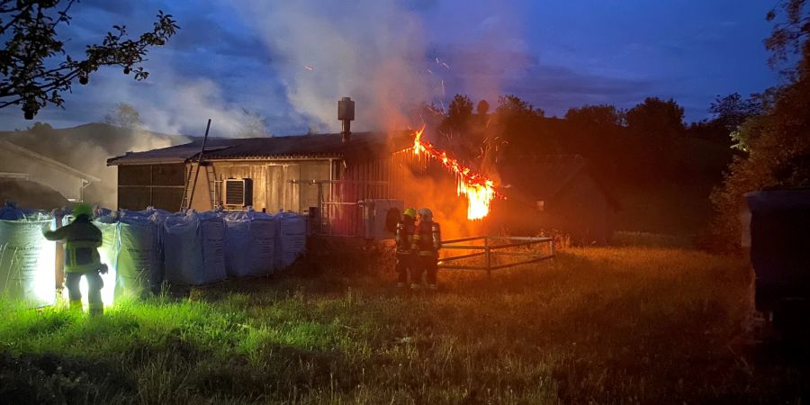 Neuheim: Brand in einem Schopf