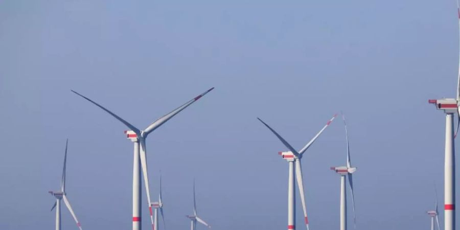 Windräder des Windparks «Wikinger» in der Ostsee vor Rügen. Foto: Bernd Wüstneck/ZB/dpa