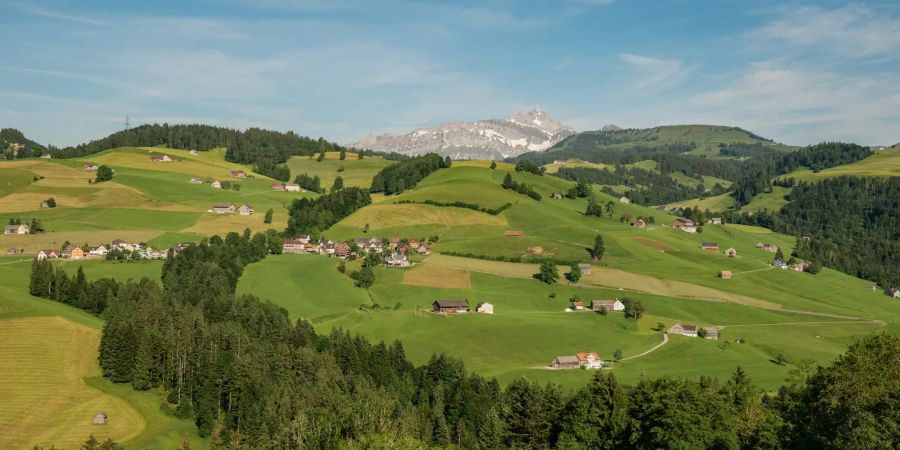 Landschaft mit Blick auf den Säntis bei Hemberg.