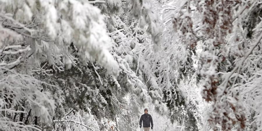 Ein Mann geht bei Schneefall den Wesleys Court in Hanover County, Virginia, entlang. Foto: Alexa Welch Edlund/Richmond Times-Dispatch via AP/dpa - ACHTUNG: Nur zur redaktionellen Verwendung und nur mit vollständiger Nennung des vorstehenden Credits