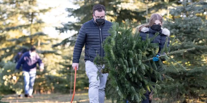 Weihnachtsbaum