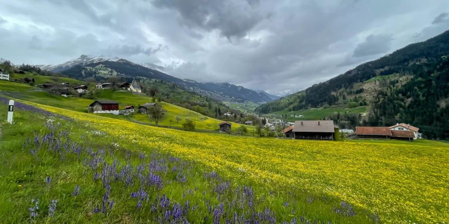 Landschaftsfoto in Luzein.