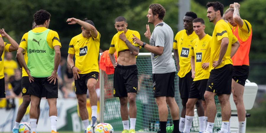 bvb
