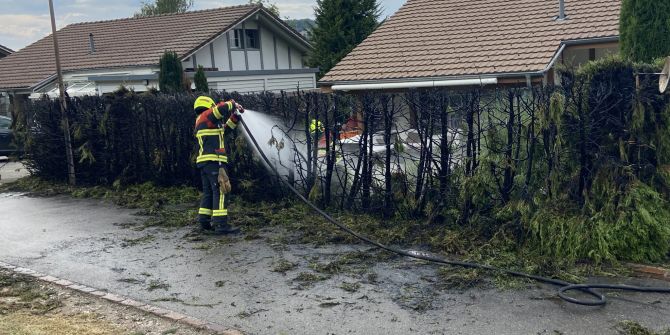 Mägenwil: Hecke in Brand gesetzt