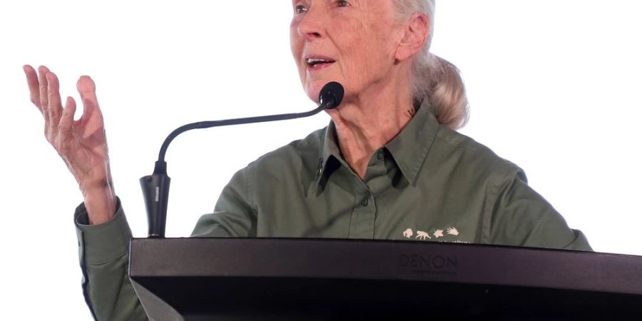 Dr. Jane Goodall gibt es jetzt auch als Barbie-Puppe.