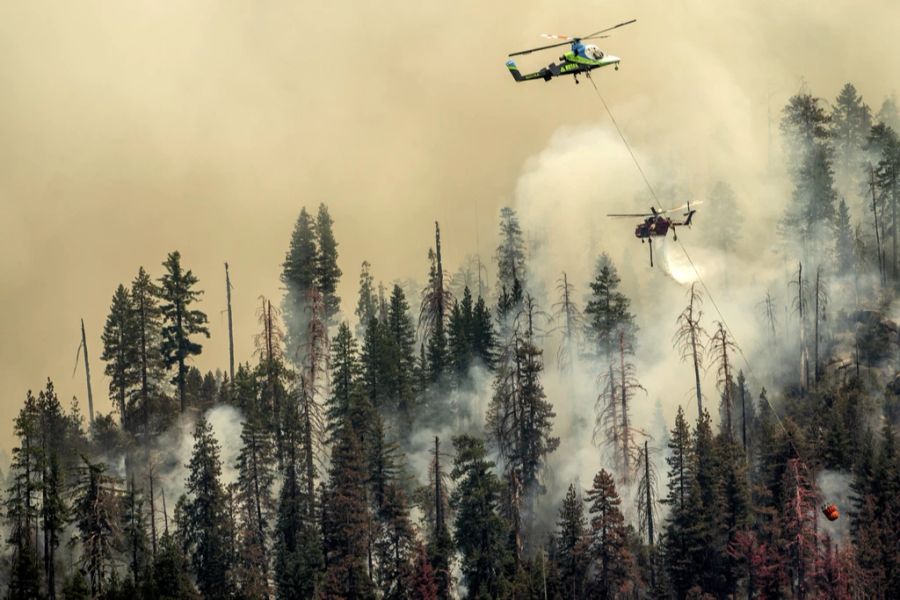 Hunderte Einsatzkräfte versuchten, das Feuer unter Kontrolle zu bringen.