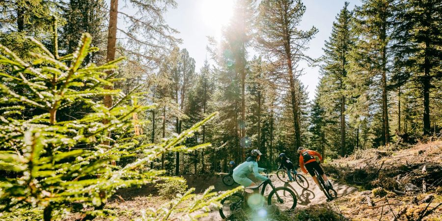 Der Hochzeiger Family Trail ist der erste MTB-Trail im Tiroler Pitztal.