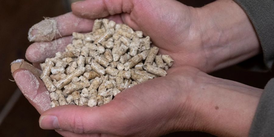 Pelletöfen und Pelletkessel gelten in der Regel als weniger belastend für die Umwelt als andere Holzverbrennung.