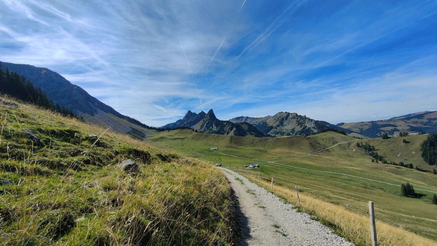 Riggisalp, Saumpfad, Euschelspass