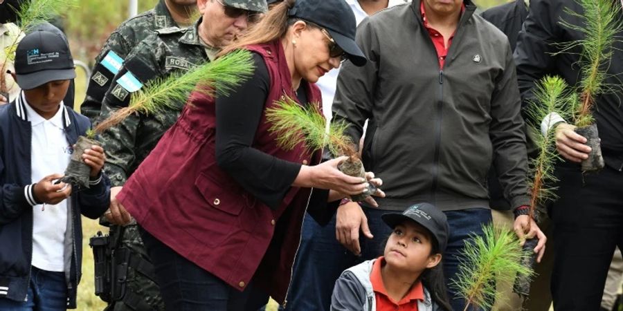 Präsidentin Castro beim Start des Waldschutzprogramms